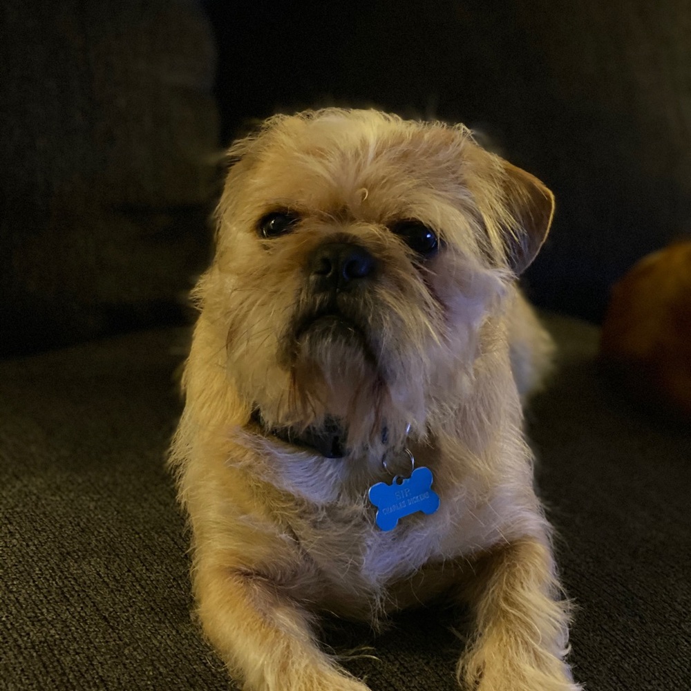 Meet your Posher, Kim